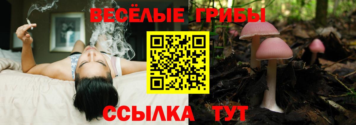 Галлюциногенные грибы Cubensis  Вход с VPN  Троицк 